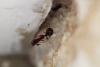 250824 – Photo : Thomas Lestage – France (55)